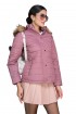 Women Jacket Plum